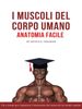 I Muscoli del Corpo Umano  Anatomia Facile